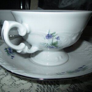 Royal Vienna Cup & Saucer Set
